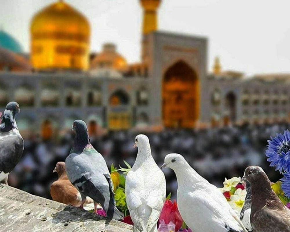 اردوی مشهد مقدس